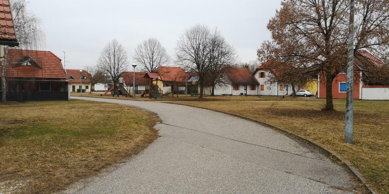 Apartma Marija Hiska 79 Villa Catez ob Savi Bagian luar foto